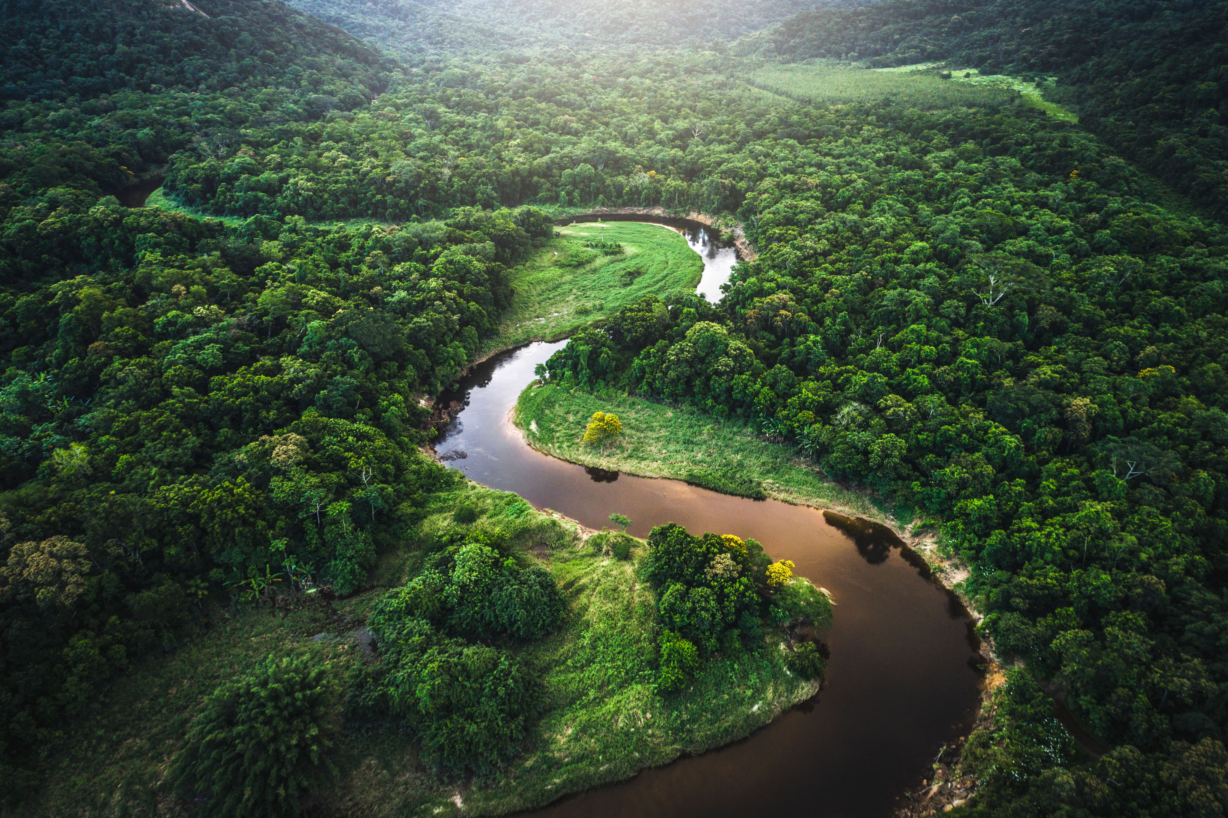 Cover image for Climate change in the Americas
